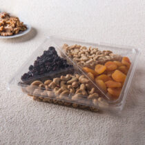 G545 Bandeja cuadrada con 4 divisorias